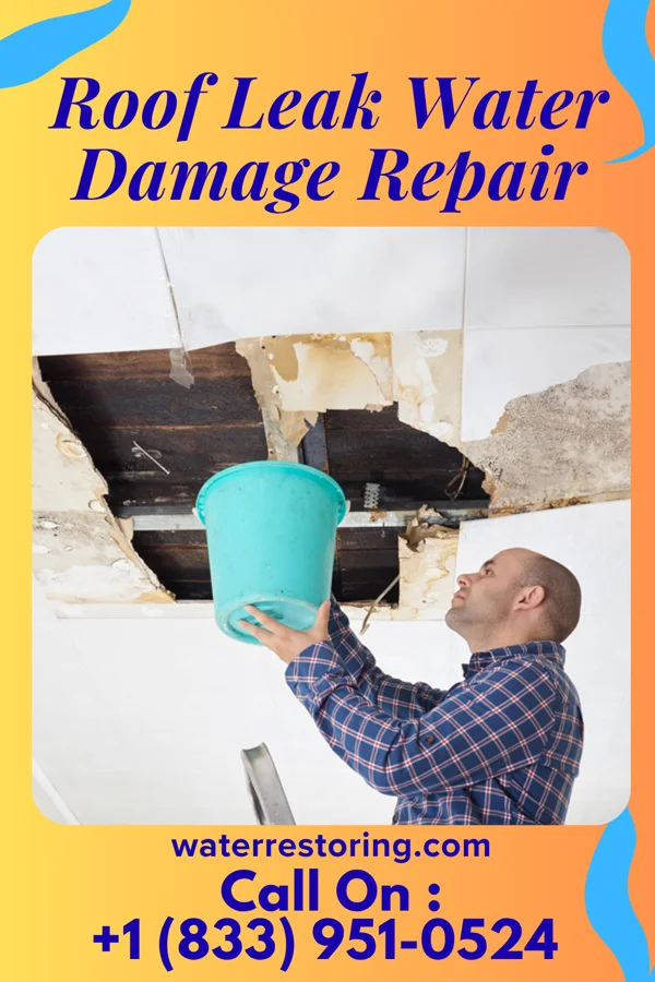 Roof Leak Water Damage Repair in Odin, KS