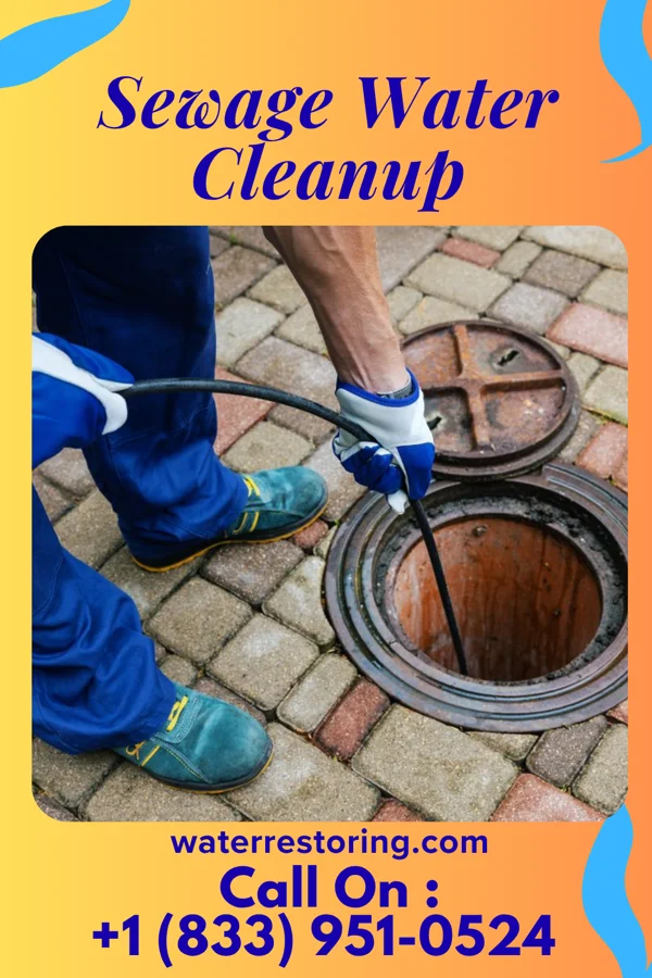 Sewage Water Cleanup in Odin, KS
