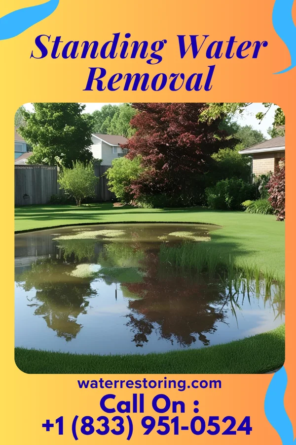 Standing Water Removal in Odin, KS